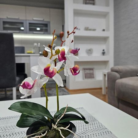 Apartman Vukota פירוט מראה חיצוני תמונה